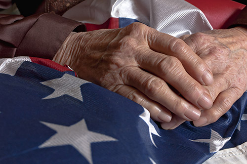 Act This Week to Honor a Veteran on THEIR Day! - Ellijay, GA